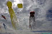 RIMINI 2012 - 159